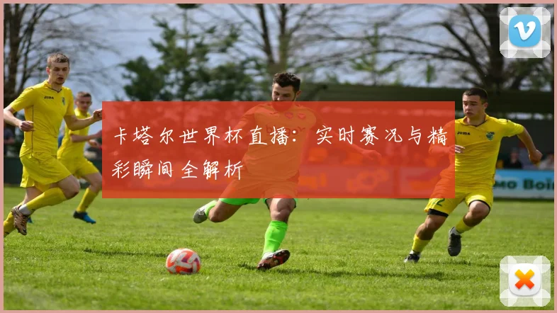 卡塔尔世界杯直播：实时赛况与精彩瞬间全解析