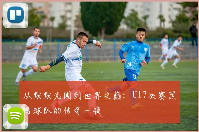 从默默无闻到世界之巅：U17决赛黑马球队的传奇一夜