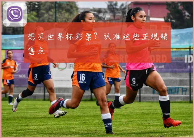 想买世界杯彩票？认准这些正规销售点