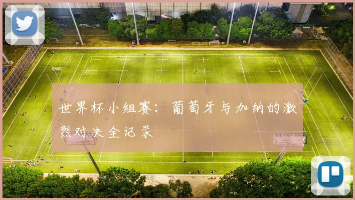 世界杯小组赛:葡萄牙与加纳的激烈对决全记录