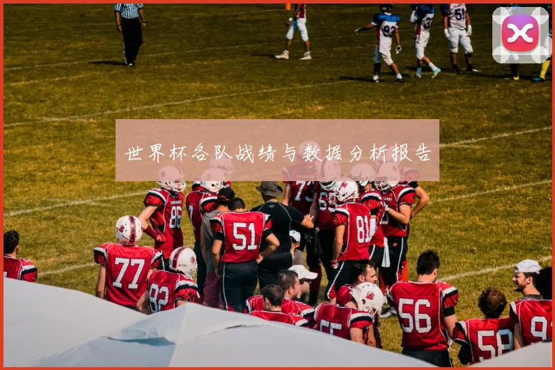 世界杯各队战绩与数据分析报告