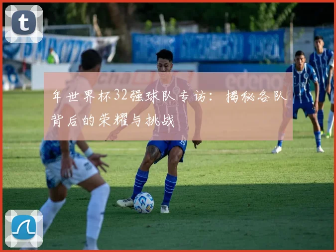 年世界杯32强球队专访：揭秘各队背后的荣耀与挑战
